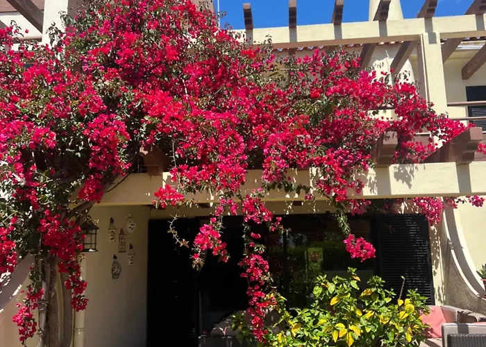 Falesia Town House 2 Bedroom אולוס די אגווה